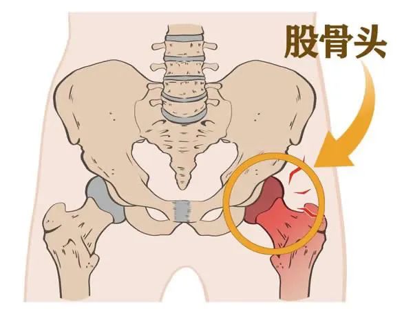 北京美德瑞骨科医生集团