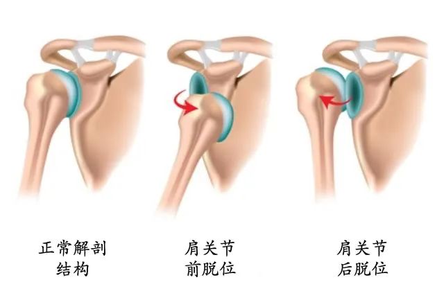 北京美德瑞骨科医生集团