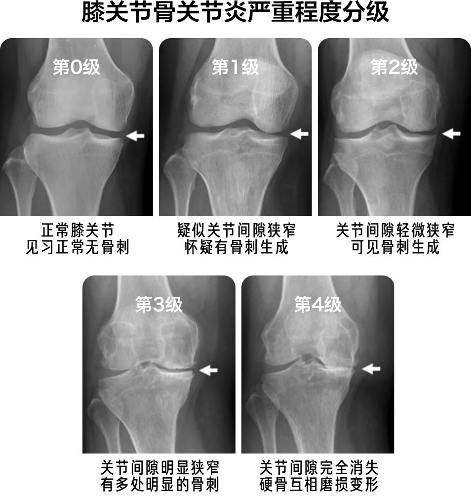 美德瑞医生集团