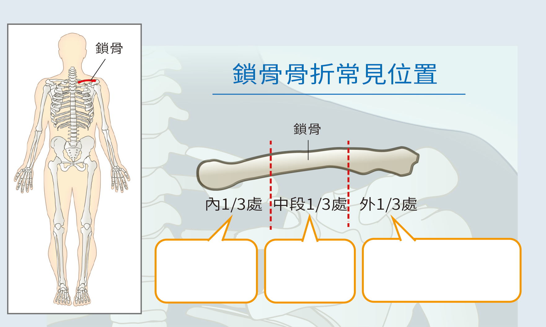 健康刊物-全民健康基金會